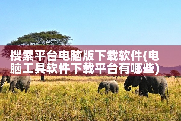 搜索平台电脑版下载软件
