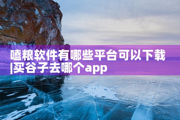嗑粮软件有哪些平台可以下载