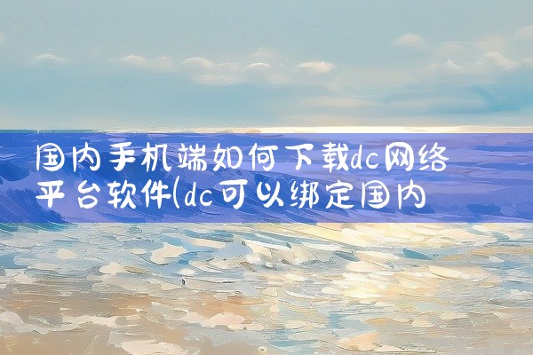 国内手机端如何下载dc网络平台软件