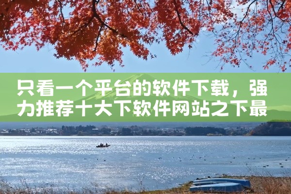 只看一个平台的软件下载