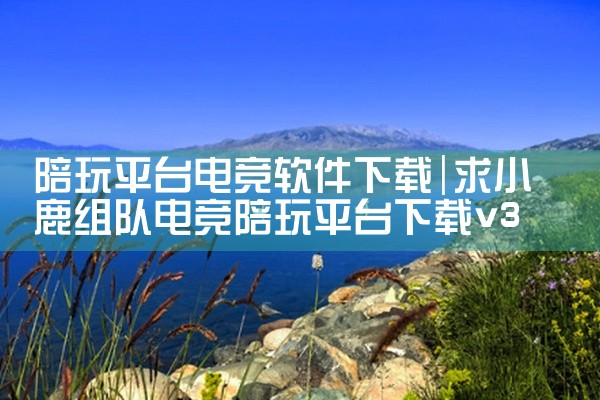 陪玩平台电竞软件下载
