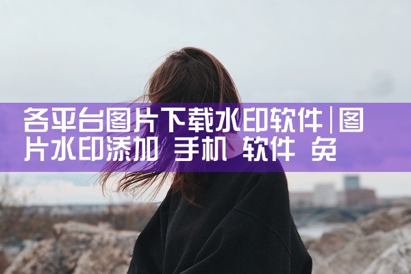 各平台图片下载水印软件