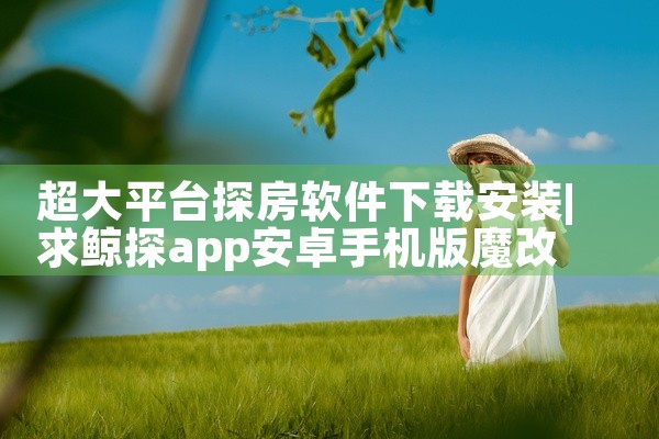 超大平台探房软件下载安装