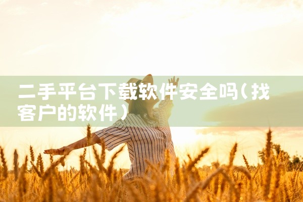 二手平台下载软件安全吗